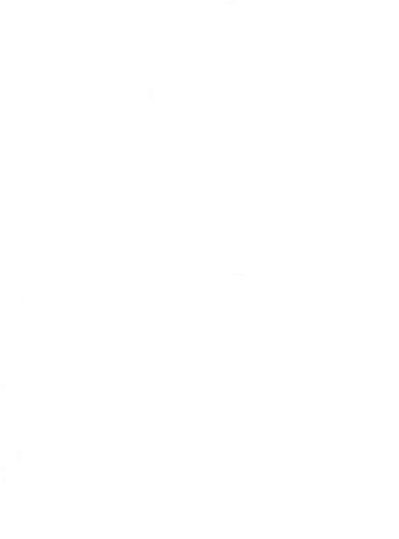 Logo Softy Groupe Tunisie en blanc